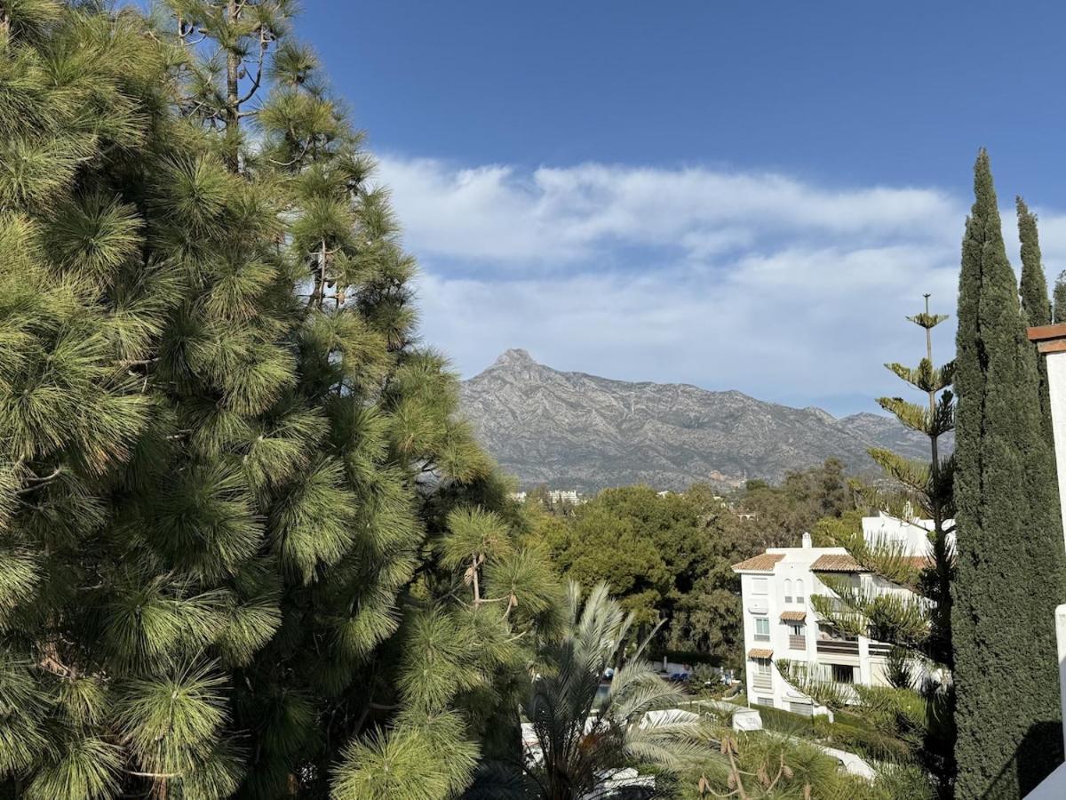 Puerto Banus Penthouse