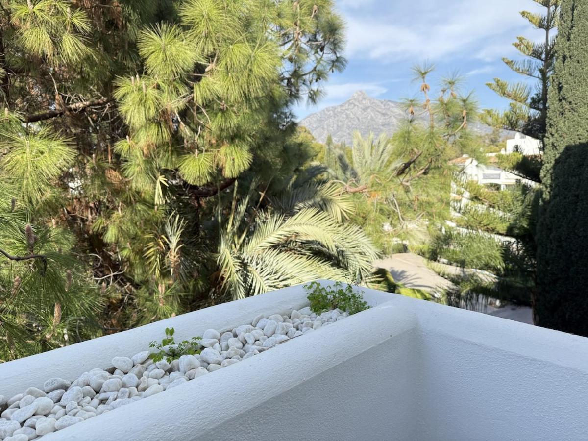 Puerto Banus Penthouse *